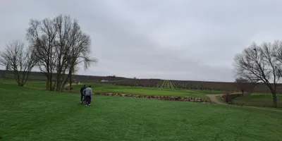 Club image Golf Club Deutsche Weinstraße