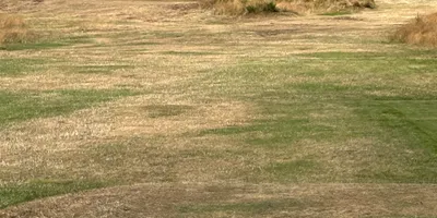 Club image Troon Links - Darley