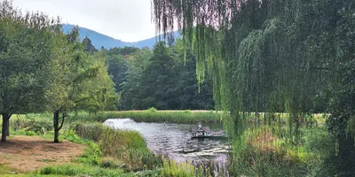 Club image Golf Club Baden-Baden