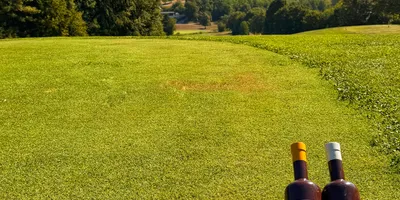 Club image HEITLINGER Golf Resort