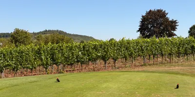Club image HEITLINGER Golf Resort