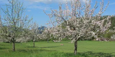Club image Golfclub Gröbernhof e.V.