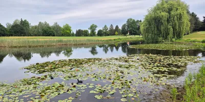 Club image Golfclub Wörthsee