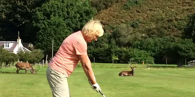 Club image Lochranza Golf Course