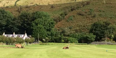 Club image Lochranza Golf Course
