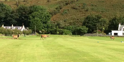 Club image Lochranza Golf Course