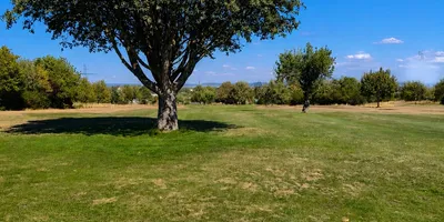 Club image Golfclub Kitzingen e.V.