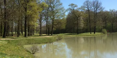 Club image Golf Vichy Foret De Montpensier