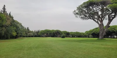 Club image Golf Old Course Cannes-Mandelieu