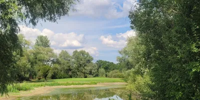 Club image Golf De La Foret D'Orient