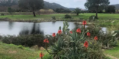 Club image Golf De Lezza