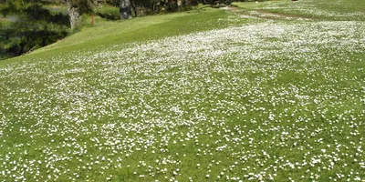 Club image Tarbert Golf Club