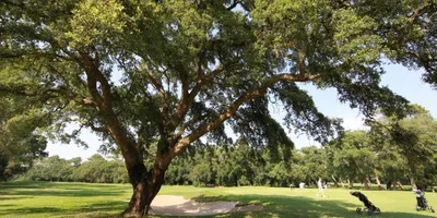 Club image Golf d'Hossegor