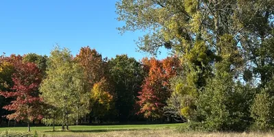 Club image Golf Du Chateau De Cheverny