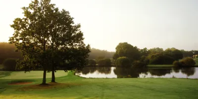 Club image Golf Blue Green Savenay