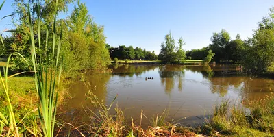 Club image Golf d'Orléans Limère