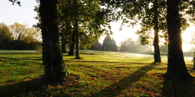 Club image Golf d'Orléans Limère