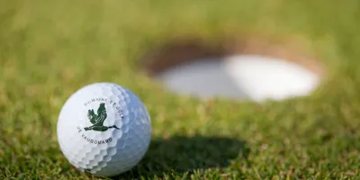 Club image Le Domaine et Golf de Vaugouard
