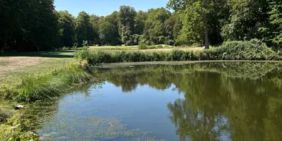 Club image Chateau D'Augerville Golf & Spa Resort 5*