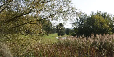 Club image Golf de la Grande Romanie