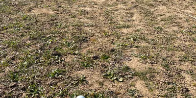 Club image Golf d'Amnéville