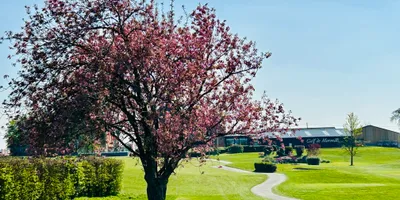 Club image Golf Club de Mormal