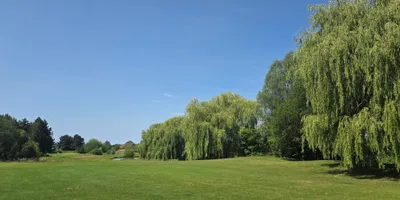 Club image Golf Le Vert Parc