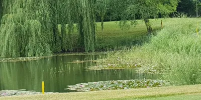 Club image Golf De Strasbourg
