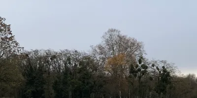 Club image Golf De Strasbourg