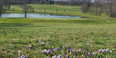 Club image Lyon Salvagny Golf Club