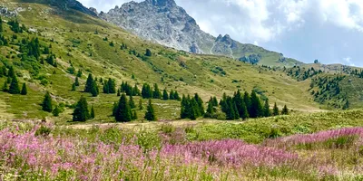 Club image Golf Club de Courchevel
