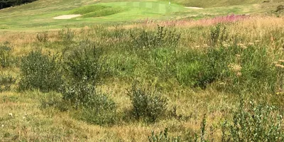 Club image Golf Club de Courchevel