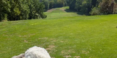 Club image Golf Club Du Lac D'Annecy