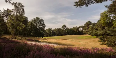 Club image UGOLF Golf du Château de Rochefort en Yvelines