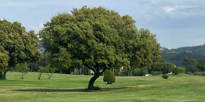 Club image Golf de Saumane - Provence Country Club