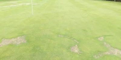 Club image Golf et Tennis du Haras de Jardy