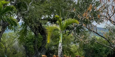 Club image Golf De Bourbon