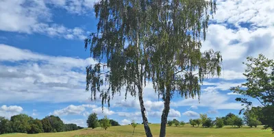 Club image Van der Valk Golfclub Serrahn