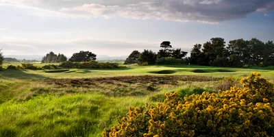 Club image Irvine Golf Club Bogside