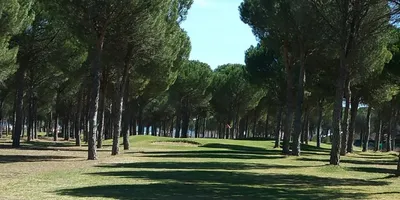Club image Aldeamayor Club De Golf