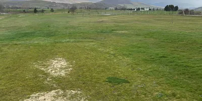 Club image Campo De Golf Nestares