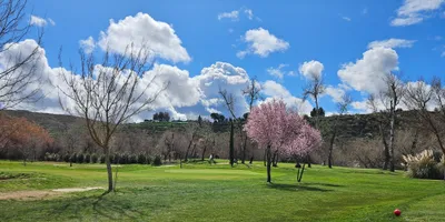 Club image Club De Golf Aranjuez