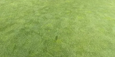 Club image La Valmuza Golf