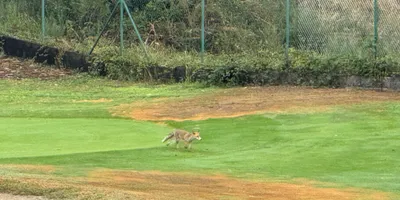 Club image Real Montealegre Club De Golf