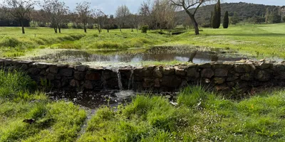Club image Norba Club De Golf