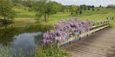 Club image Real Nuevo Club Golf De San Sebastián Basozabal