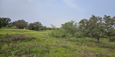 Club image Talayuela Golf