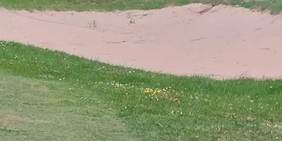 Club image Golfpark De Kurenpolder