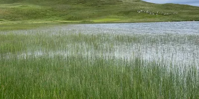 Club image Durness Golf Club