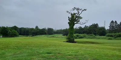 Club image Vale Resort